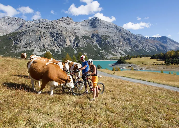 Meublè Garnì Della Contea